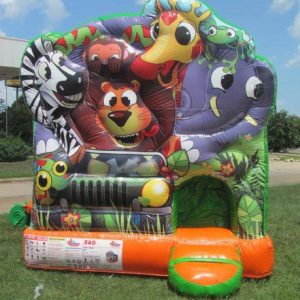 Jungle Fun Kiddie Combo