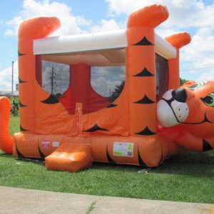 Tiger Belly Bouncer