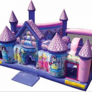 Disney Princess Palace Playland