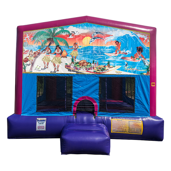 Tropical Paradise Bouncer - Image 2