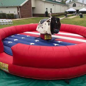 Mechanical Bull